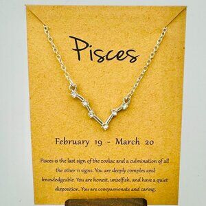Silver Pisces Constellation Necklace - NWT